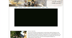 Desktop Screenshot of coslia.com